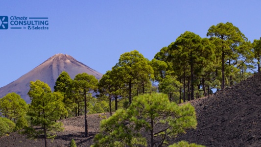 subvenciones placas solares canarias